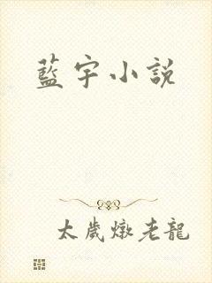 蓝宇小说