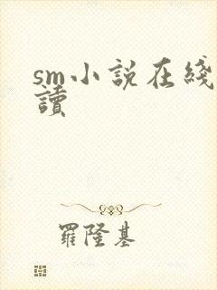sm小说在线阅读