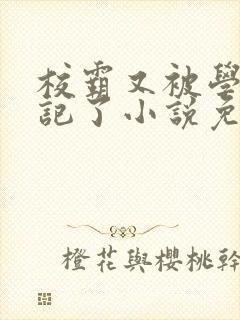 校霸又被学神标记了小说免费阅读