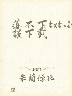 落不下txt小说下载封面