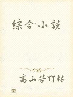 综合小说封面
