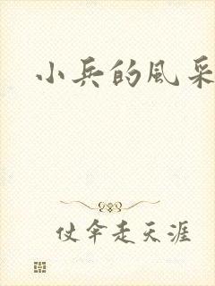 小兵的风采封面