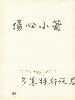 伤心小箭封面