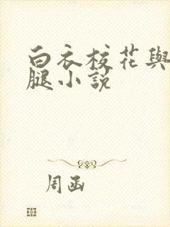 白衣校花与大长腿小说