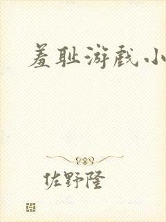 羞耻游戏小说封面