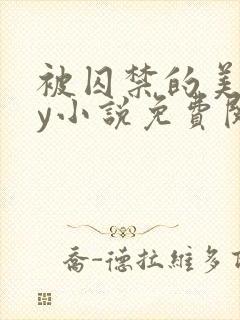 被囚禁的美人by小说免费阅读