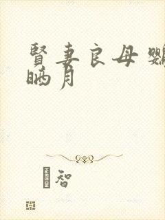 贤妻良母 鹦鹉晒月封面