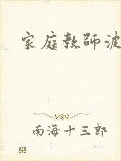 家庭教师波封面