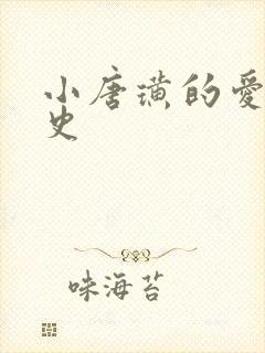小唐璜的爱情历史