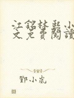 江铭林熙小说全文免费阅读