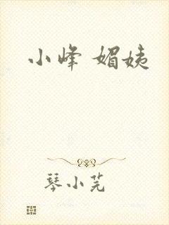小峰 媚姨封面
