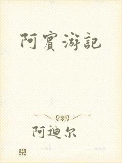 阿宾游记封面