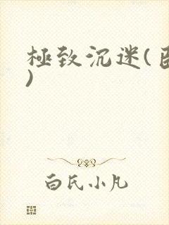 极致沉迷(臣年)封面