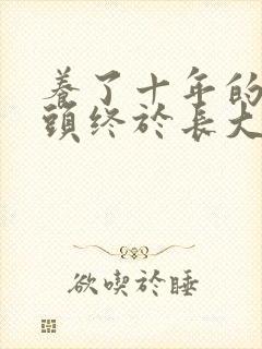 养了十年的小丫头终于长大了封面