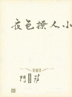 夜色撩人小说