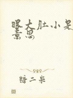 眼大肚小是什么意思