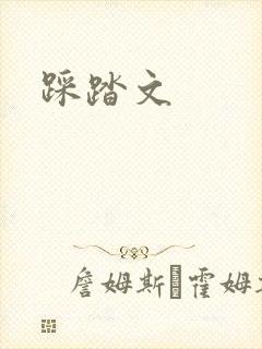 踩踏文封面