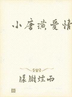 小唐璜爱情历史