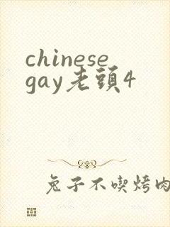 chinesegay老头4封面
