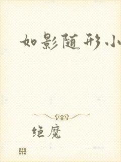 如影随形小说封面