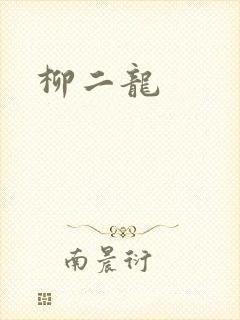 柳二龙