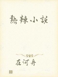 热辣小说封面