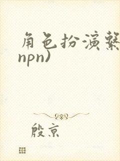 角色扮演系统(npn)
