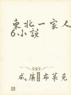 东北一家人1一6小说