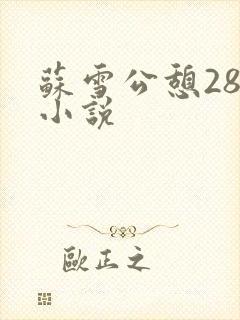 苏雪公憩28篇小说