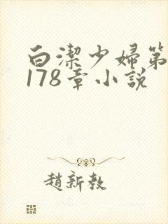 白洁少妇第1一178章小说封面