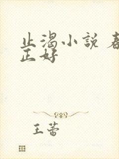 止渴小说 春光正好