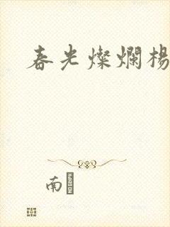 春光灿烂杨家将