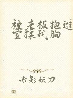 被老板抱进办公室揉我胸