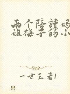 两个陪读妈妈赵姐梅子的小说