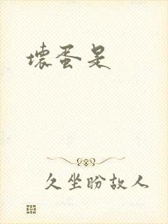 坏蛋是