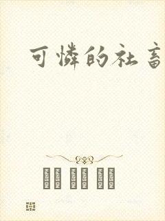 可怜的社畜