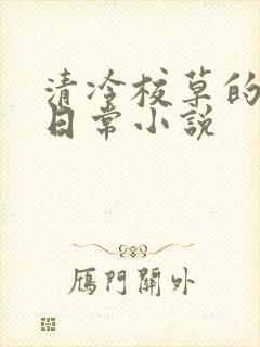 清冷校草的堕落日常小说
