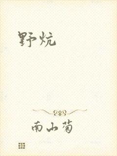 野炕