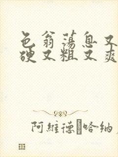 色翁荡息又大又硬又粗又爽小莹