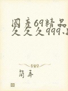 国产69精品久久久久999小说
