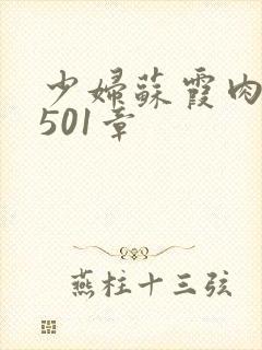 少妇苏霞肉欲第501章
