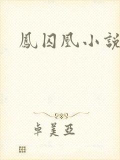 凤囚凰小说