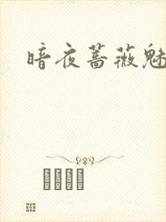 暗夜蔷薇魅封面