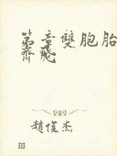 第章双胞胎姐妹齐飞