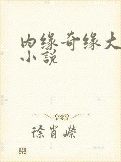 内缘奇缘大团圆小说