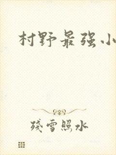 村野最强小农民