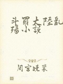 斗罗大陆乱世浮殇小说封面