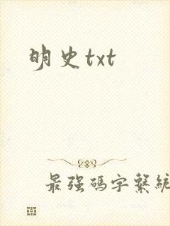 明史txt封面