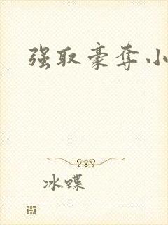 强取豪夺小说