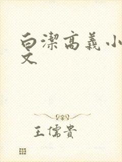 白洁高义小说全文